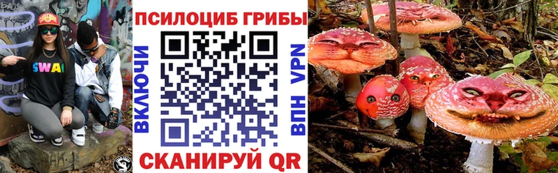 Галлюциногенные грибы Psilocybine cubensis  Аткарск 